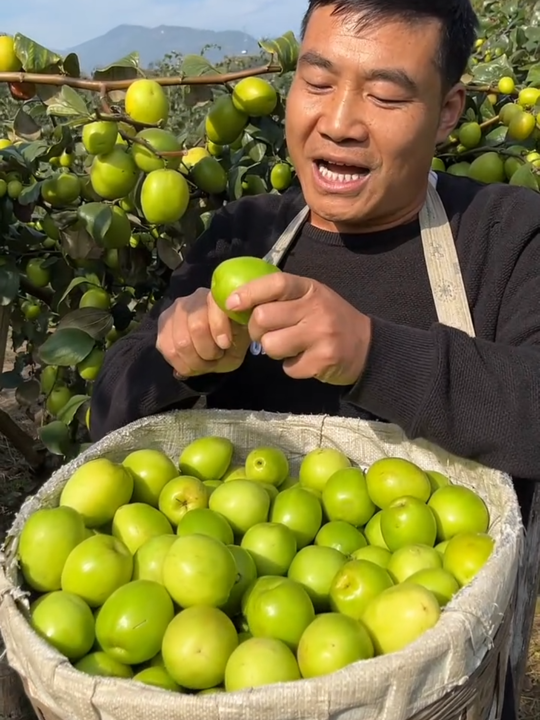 Amazing 🤩 fresh fruit harvest from beautiful nature farming #nature #fresh #harvest #fruitcutting 