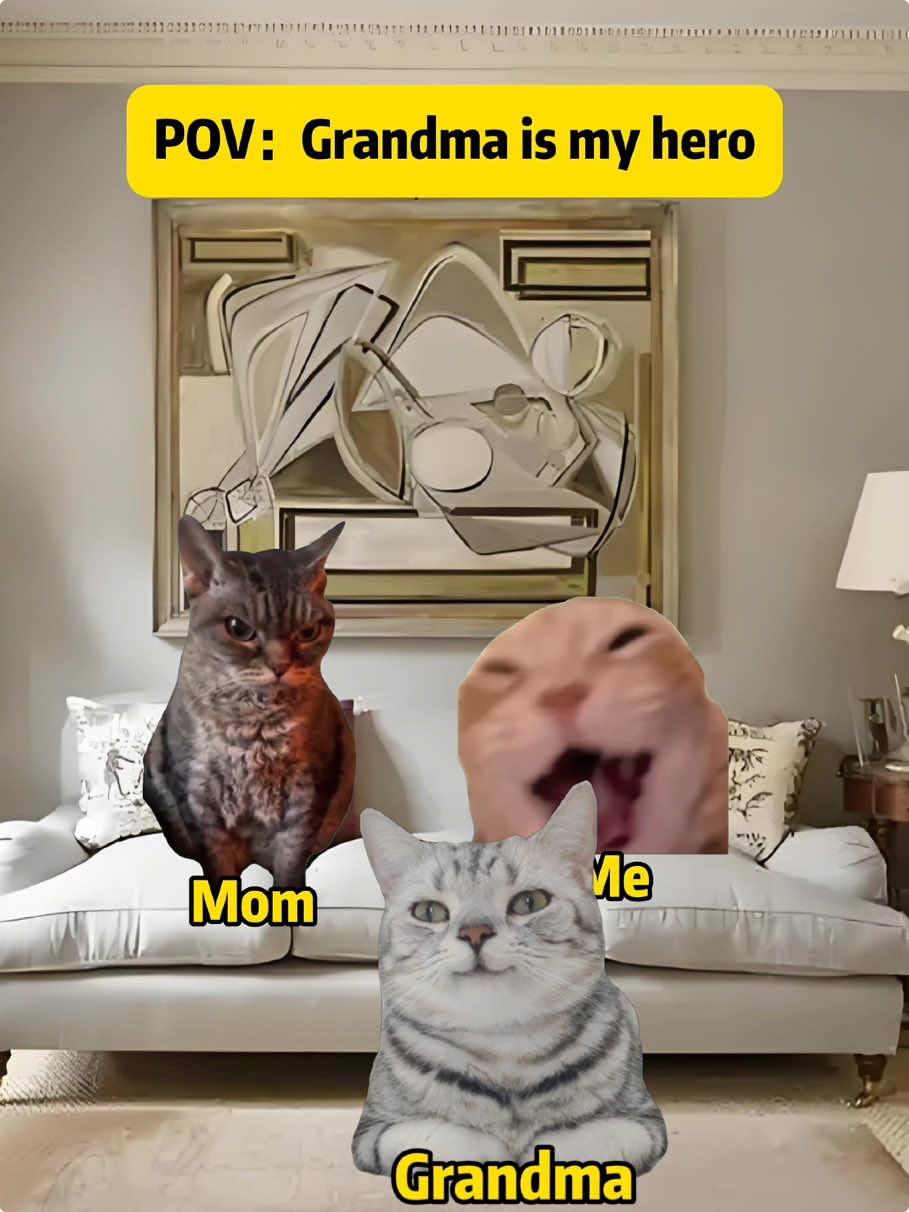 Grandma is my hero#catmeme #fyp #catsoftiktok #relatable #cattok #foryoupage #funnycats 