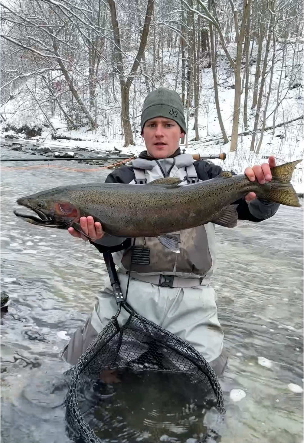 Big steelhead 🥶 #fishing #steelhead #trout #flyfishing 