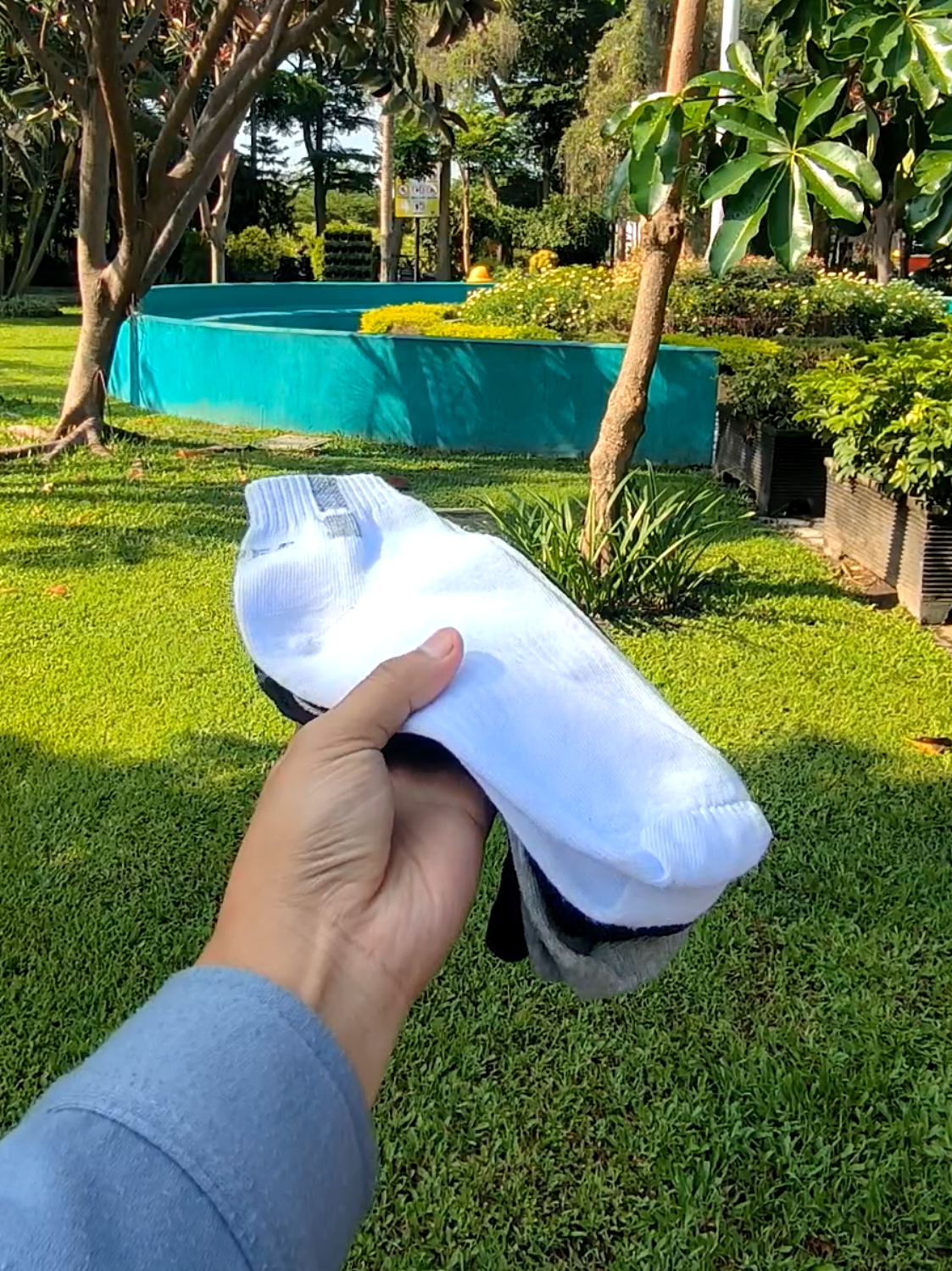 10rb dapat 3 pasang kaos kaki pendek pria wanita kaos kaki olahraga #kaoskaki #kaoskakipriawanita #kaoskakipendek #fypシ゚viral #xyzbca 