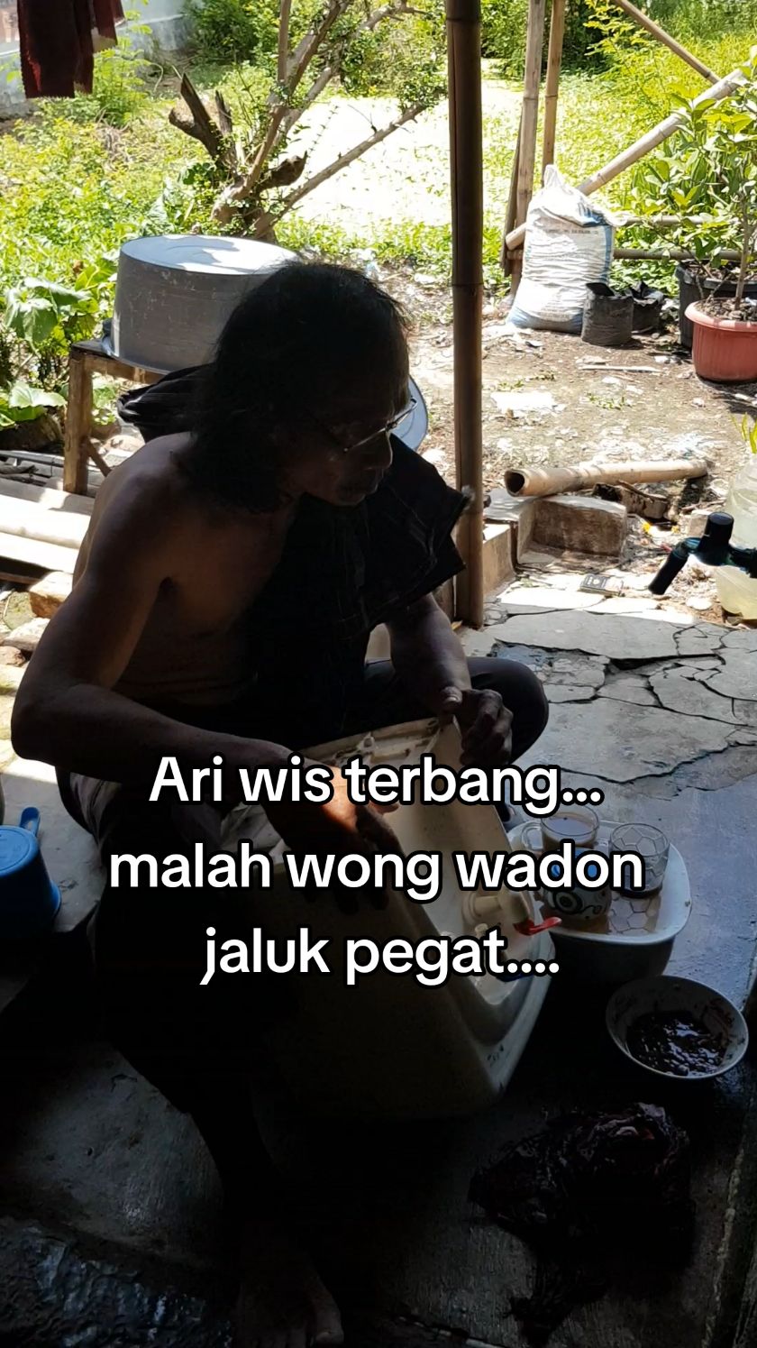 #TikTokAwardsID #hiburan #wong wadon jaluk pegat# wabets