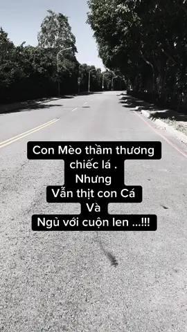 Bạn hiểu không #storytamtrang😔 #storytamtrang #tinhyeu #story #stt_buồn_tâm_trạng #tamtrang #stt #sttbuon #story 