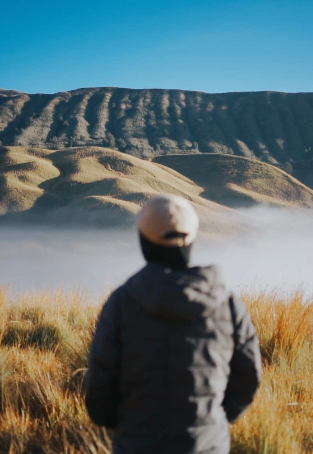 Enjoying the sunrise in Bromo savanna #bromo #bromomountain #fyp #exploremalang #java #nature #epicalbromo #bromotrip #tripbromo #bromotenggersemeru 