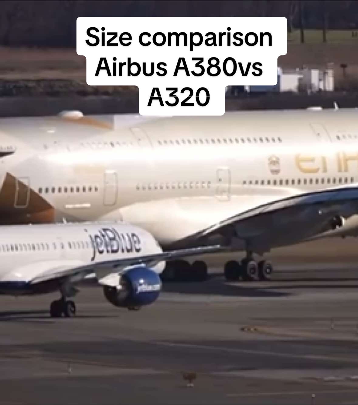 Size Difference? Airbus 380 vs Airbus A320 #aviation #airplane #geek #aircraft #viral_video #pilot #airport #plane #airbus #fypdong #fypsounds #videoviral #fyp #💫 