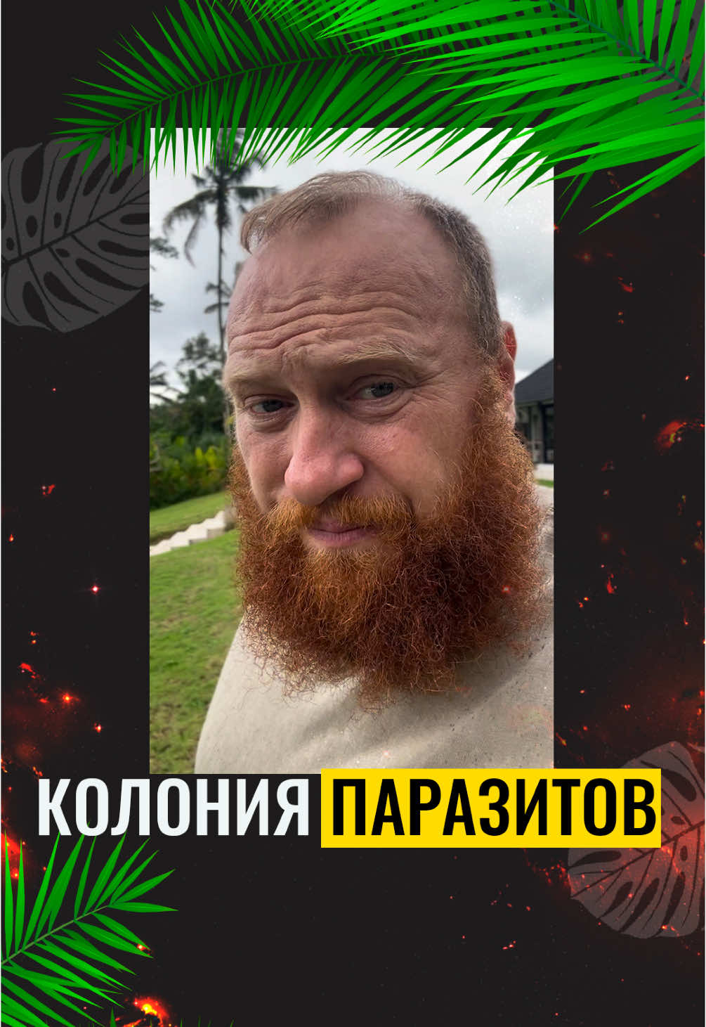 КОЛОНИЯ ПАРАЗИТОВ