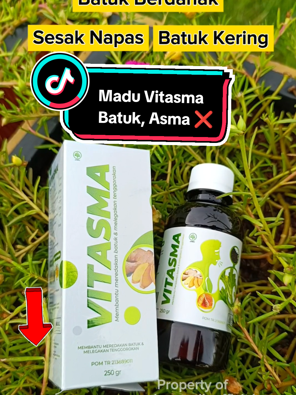 Madu Vitasma bantu permasalahan pernafasan #maduvitasma #vitasma #asma #batuk #batukmenahun #batukkering #obatbatuk #cuantanpabatas #wibgajian #galeriherbal #nagita 