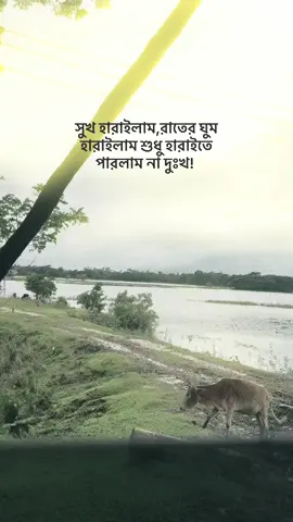 সুখ হারাইলাম,রাতের ঘুম  হারাইলাম শুধু হারাইতে  পারলাম না দুঃখ! #foryou??plzzzzzzzzzzzzzzzzzzzz #bangladesh🇧🇩 #foryou #fyppppppppppppppppppppppp #bangladeshtiktokofficial🇧🇩 #dead_volcano #viralpost #viral @TikTok 