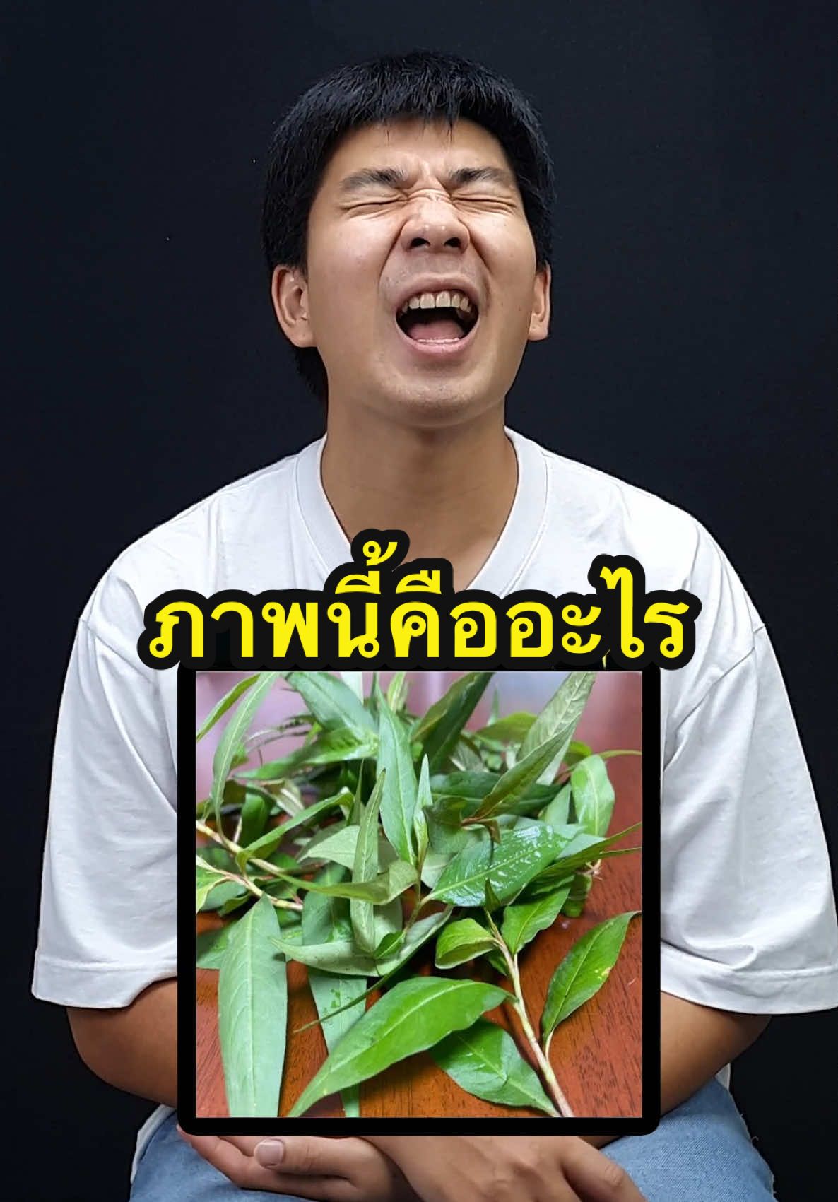 ภาพนี้คืออะไร #ตู้ซ่อนหมี #บันเทิงTikTok 