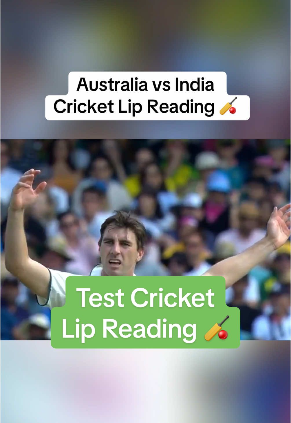 What they were REALLY saying at the cricket! 😂 #cricket #australia #india 