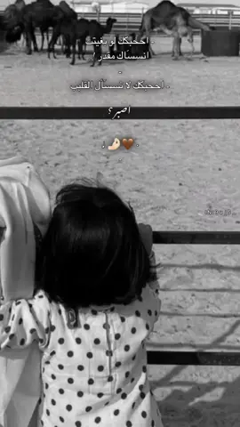 - احبك لا تسأل القلب اصبر🤎🤌🏻. #ميحد_حمد #شبوه_ديرتي_مسقط_الراس💕 #حب #عشوائيات #بدو #الشتاء #الديره #ذكريات #البل #مقطع #سالم_اليوسفي📻 #تصويري📷 #تصميمي 