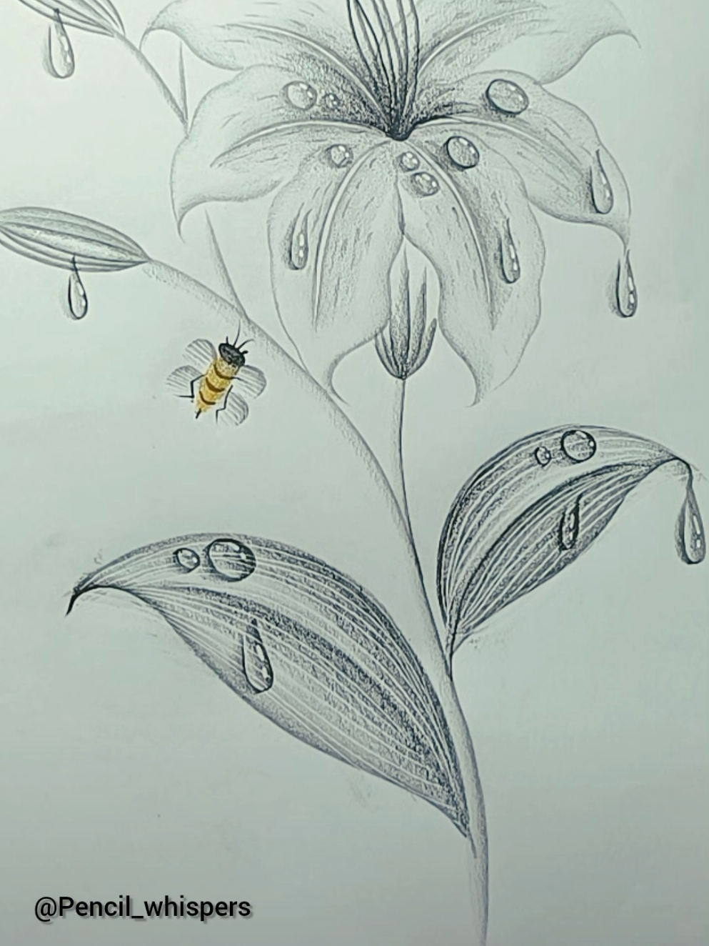 how to draw flower with Pencil  . . . #howtodraw #creatorsearchinsights #drawingtutorial #artistsoftiktok #pencilart #draw #fyp #drawingideas #drawings #flower 