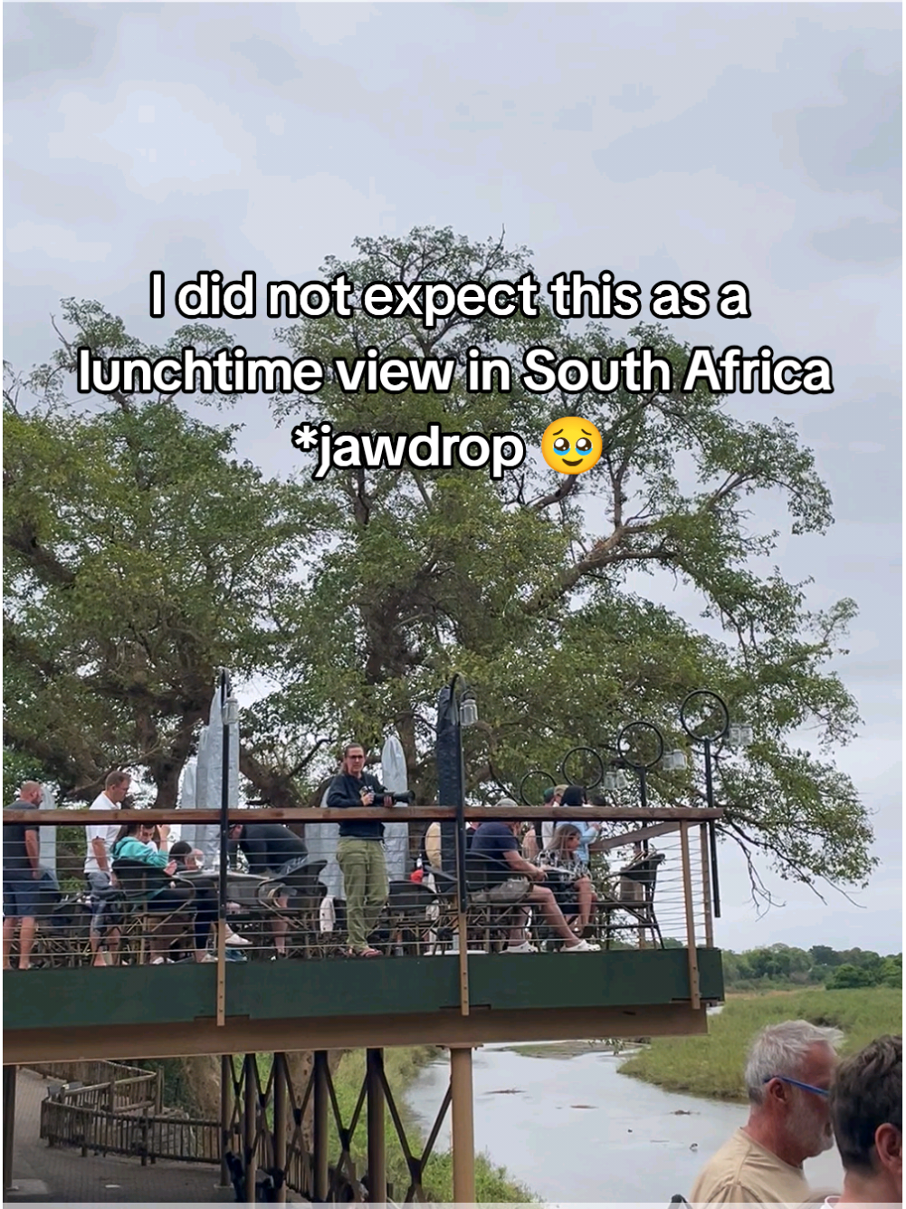 Spot the babies 😭 and the toothy reptile.  📍Sabie River Viewpoint, Skukuza Rest Camp, Kruger National Park, South Africa. During our full-day safari, we stopped here for lunch and were blown away by this unexpected, special encounter. Elephants are a common sight on safari but this was the biggest herd we saw! SO AMAZING! #safarisouthafrica #krugernationalpark #krugersafari #safari #safaritiktok #southafricatravel 