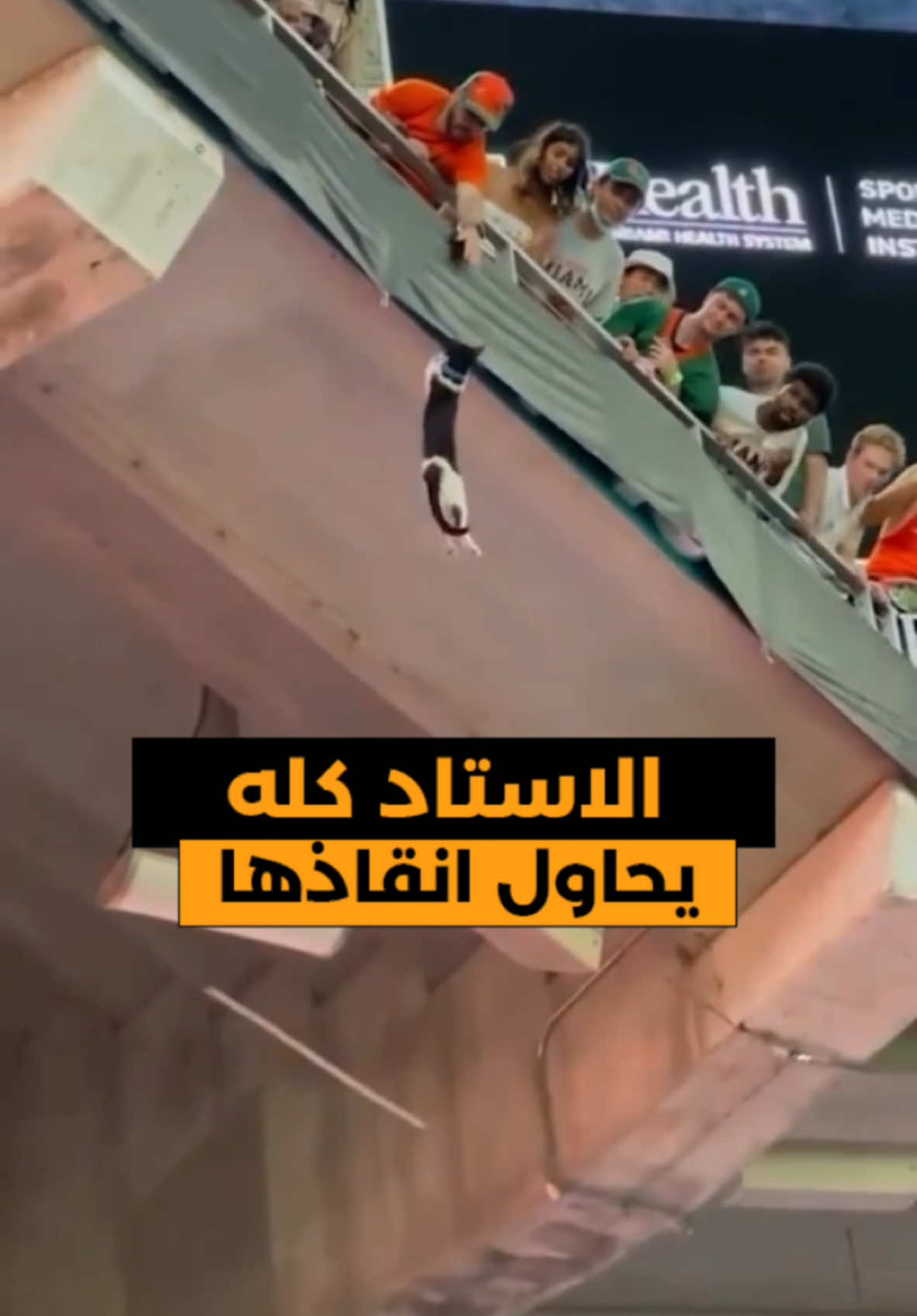 انقلب الاستاد كله من اجل القطة … والنهاية هي افضل شئ  #whattowatch 