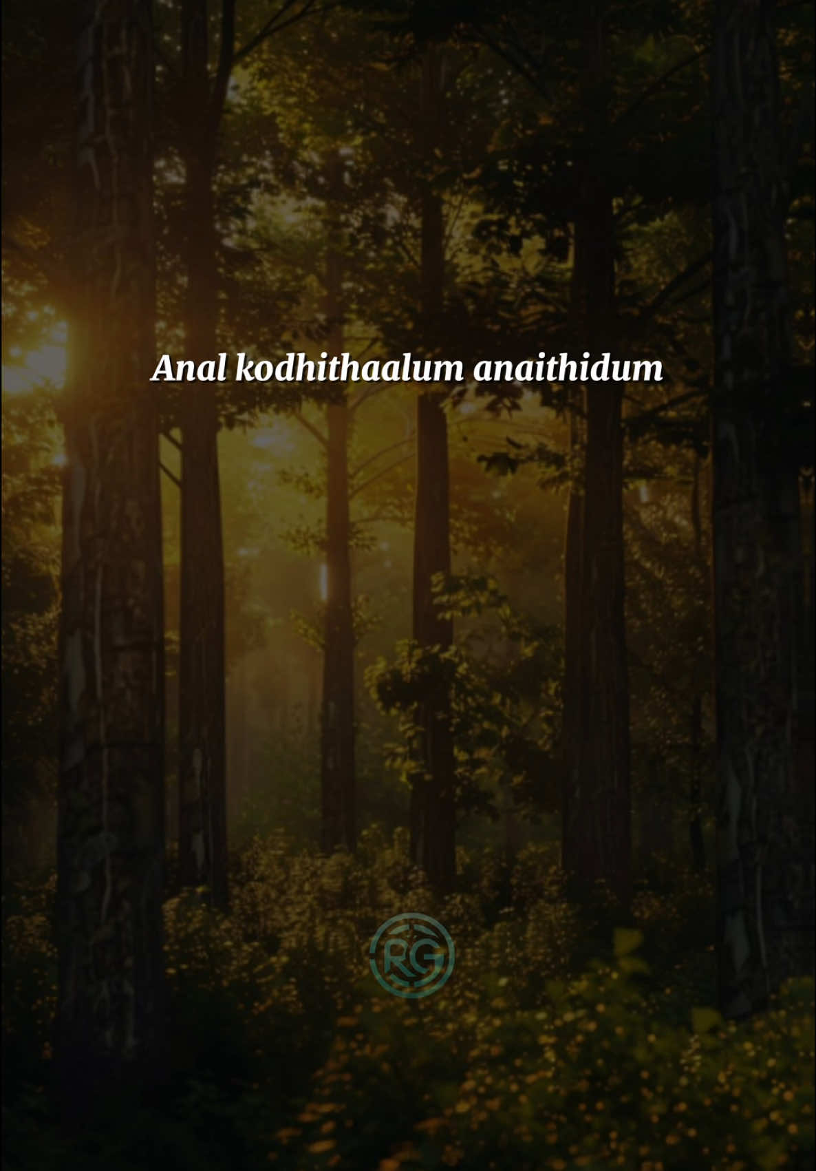 |• Anal kothitthaalum anaithidum, punal aruginil undu #popular #tamil #foryou #foryoupageofficiall #fyppppppppppppppppppppppp #fupシ #lyricsong #trendy #rg #rxnnxgaran #music_mxstro #fyptamil #foryoupage #malaysia #Love 