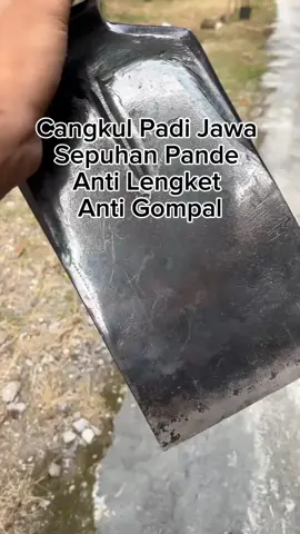 CANGKUL PADI JAWA ANTI LENGKET ANTI GOMPAL #Cangkul #sawahpadi #sawit #alatpertanian #alatpertanian 