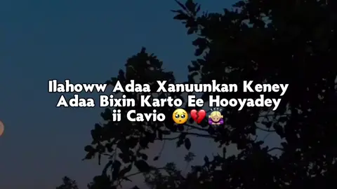 40 people who accept prayers 📿#somalitiktok #foryoupage #muqdishotiktok 