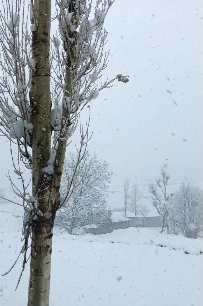 Kumrat valley right now🌧❄️🌧🌧🌧🌧❤️❤️#snowfall #snow #kumrat_valley #nature #foryou #foryoupage #tranding 