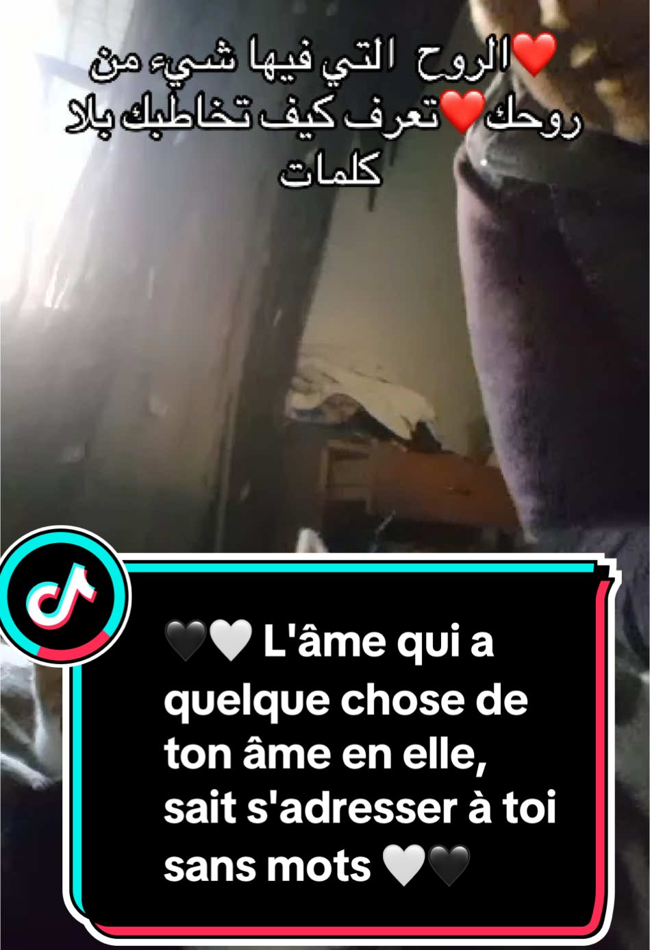 #rescueanimals 🖤🤍 L'âme qui a quelque chose de ton âme en elle, sait s'adresser à toi sans mots 🤍🖤#الرحمة_بالحيوان #كلمات_من_القلب #فرنسا🇨🇵_بلجيكا🇧🇪_المانيا🇩🇪_اسبانيا🇪🇸 #tik_tok 