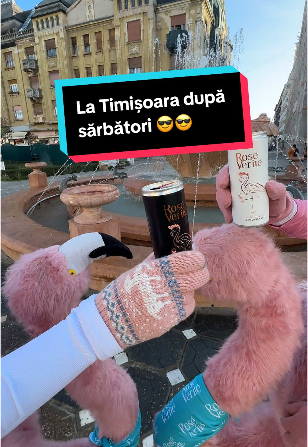 Sfaturi înțelepte de la flamingo 😂🥂 #365deziledevara #LaVidaEnRose #flamingointurulromaniei #romania #timisoara #funny #idei 