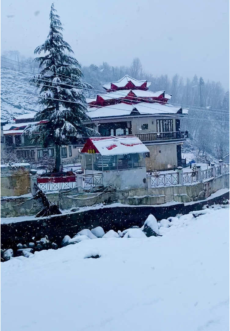 Latest Live Snowfall ❄️ Amazing Winter Season Beauty Of Swat Kalam Valley . #trending #foryou #F #swat #pakistan #snowfall #discoverswat #viralvideos @Discover Swat @🎀 𝒜𝓈𝒽𝓇𝒶𝒻 𝓀𝒽𝒶𝓃 🎀 @LeGrand Resorts Kalam @swatbeauty✨ 