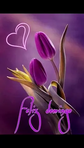 #CapCut #buenosdiasdomingo💗 #bendecidodiadomingo🙏 #buenosdiasmundo🌏 #goodmorning #findesemana #bendicionesatodos💫🙏 #amen🙏 #foryoupage❤️❤️ #paratiiiiiiiiiiiiiiiiiiiiiiiiiiiiiiiiii🦋 #flypシ 