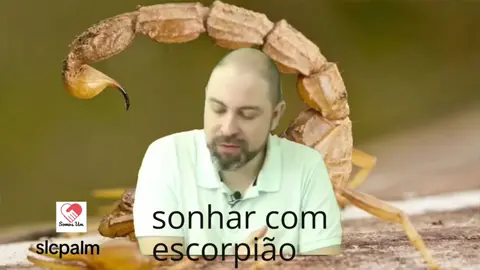 #deus #profetaviniciusiracet #viniciusiracet #sonhos #sonharcom #sonharcomescorpiao #sonharcomescorpiaopicando #direitaconservadora #foryou #fyp 