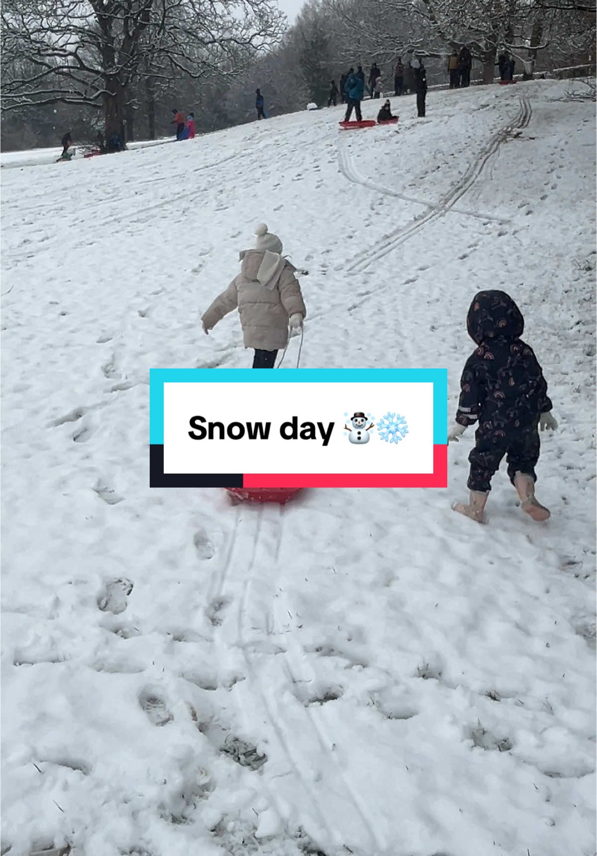 Snow day! ☃️❄️ #snowday #snow #snowfun #sledging #leeds 