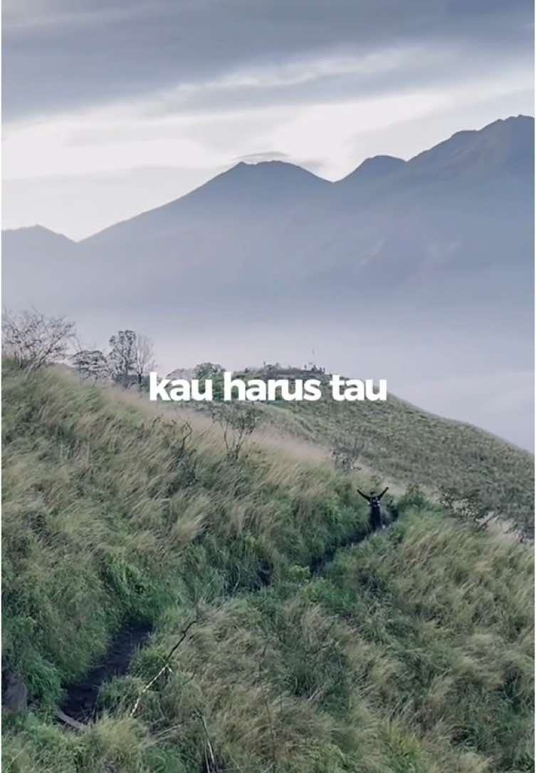 Sarah Klopo dengan iconic sabana miringnya, dan banyak yang bilang miniatur nya Gunung Merbabu, view nya kalian bisa melihat gagahnya gunung arjuno-welirang dan city light dari atas puncak, ada beberapa situs candi juga peninggalan kerajaan majapahit di jalur pendakian ( Candi Carik, Candyi Lurah, Candi Siwa, Candi Guru ) #sarahklopo1235mdpl #fomo #tektok #pendakigunung #fyp #pendaki #pendakiindonesia #fyp #fyp #pendaki #pendakiindonesia #haiking #mojokerto @Penanggungan Via Kedungudi 