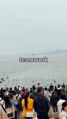 teamwork!!! 💕#teamwork #fyp#10k#foryou#growmyaccount #viral#roadto10kfollowers#roadto10kteamwork#teamworkmakesthedreamwork#10ktrend #under10k #roadto10k #teamworkchallenge #followtrain #teamworktrend #grow #tiktok #foryoupage #roadto10k#growth