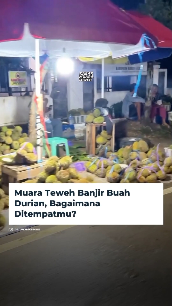 Puluhan pedagang durian mulai bertebaran di lokasi - lokasi strategis di beberapa sudut dan simpangan jalan Kota Muara Teweh. Terutama di depan kantor SKB Muara Teweh yang terletak di jalan Pramuka terdapat lapak-lapak pedagang buah durian. Durian tersebut didatangkan langsung oleh para pedagang durian dari wilayah Barito Utara seperti Lahei, Nihan dan juga Benao. Menurut pedagang harga yang dijual bervariasi tergantung besaran dan kecilnya. Meski demikian harga perbijinya berkisar 5 ribu hingga 50 ribu rupiah. 🎥 @irwantobtonie