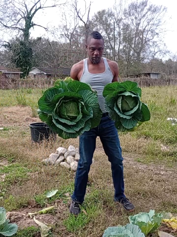 Today's Harvest 1/5/25#gardening #homesteading #louisiana #eachoneteachone #fyp #fypシ゚viral 