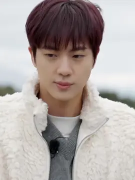 🩷🌷 #seokjin 
