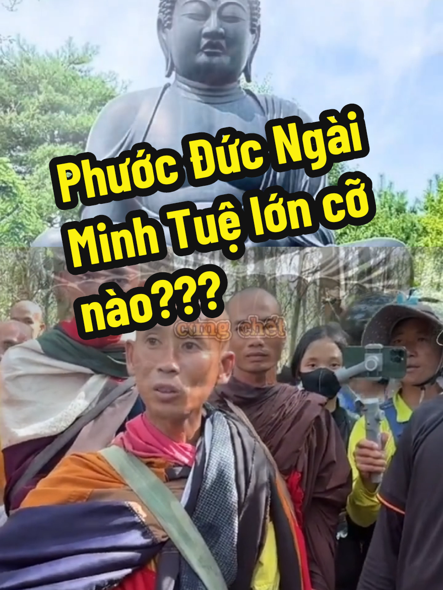 Phước Đức Ngài Minh Tuệ lớn cỡ nào??? #xuhuong #fy #truongsimo #nguyenphuonghang #thichminhtue #viralditiktok #viralvideos #xuhuongtiktok 