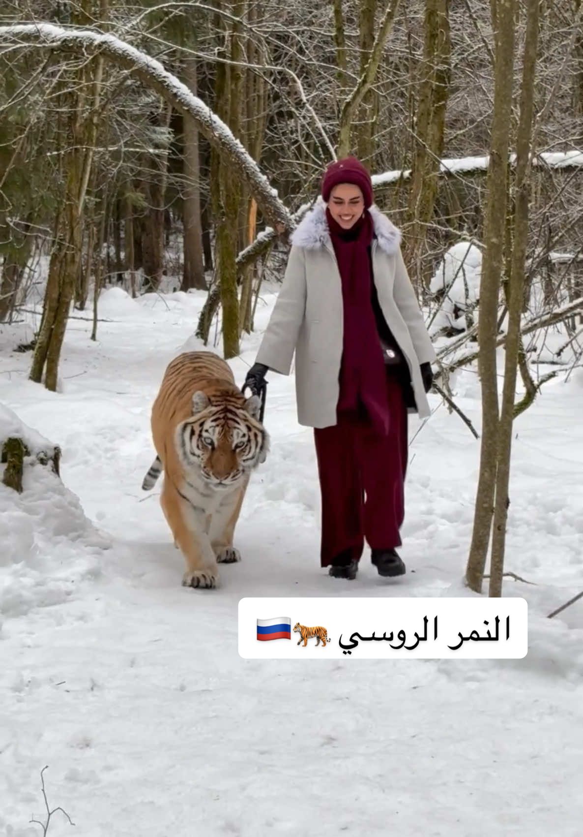 الي بيروح موسكو لازم يجرب هذي التجربة 🐅🧡 . . #روسيا #موسكو #🇷🇺 #ترندات_تيك_توك #امامة_ميكب #سفر #الشعب_الصيني_ماله_حل😂😂 #ثلج #شتاء #ترند 