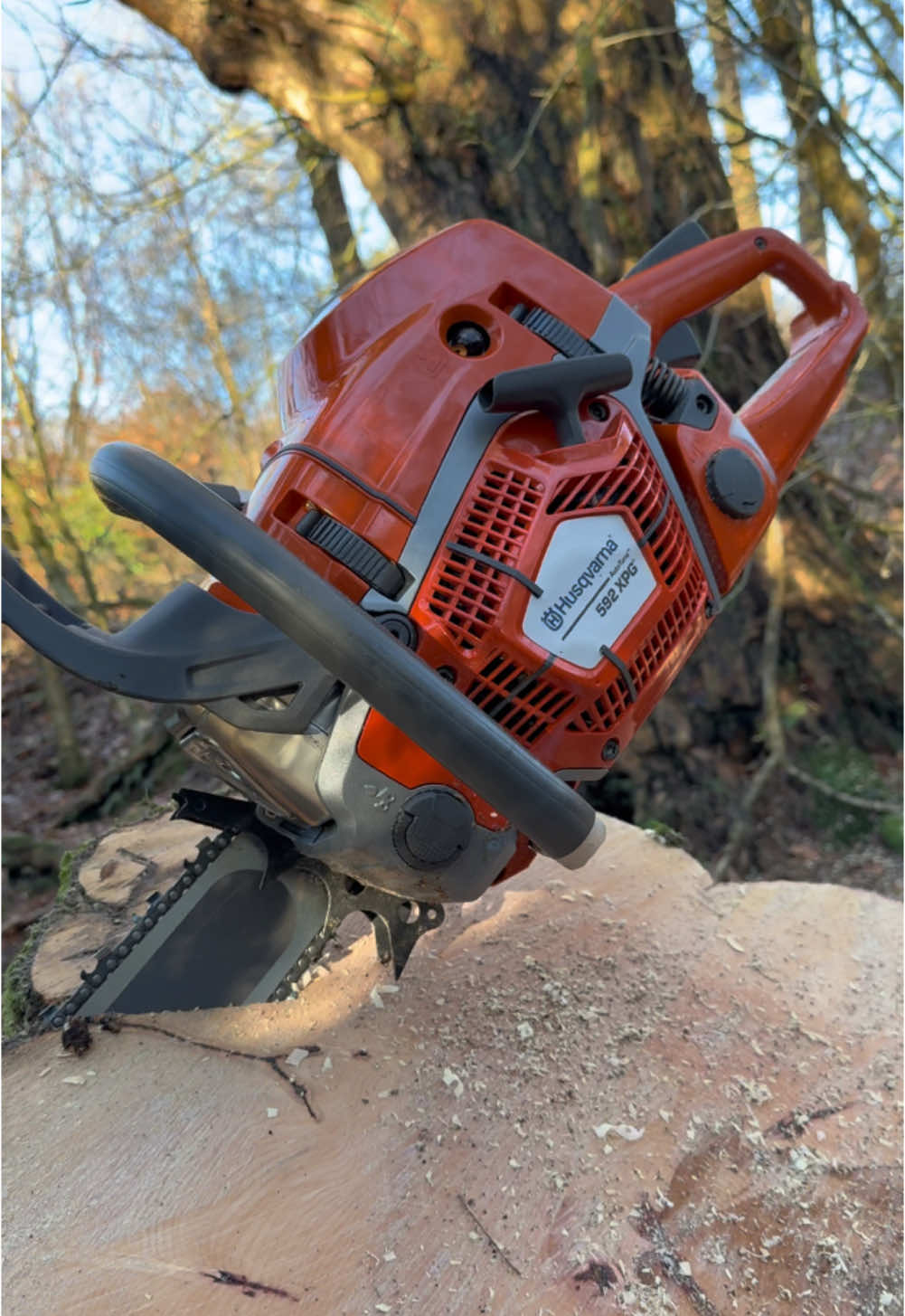 Husqvarna 592 XPG with 32” light bar 🪓 #husqvarna #husquarna592xp #treeworker #logger #fyp 