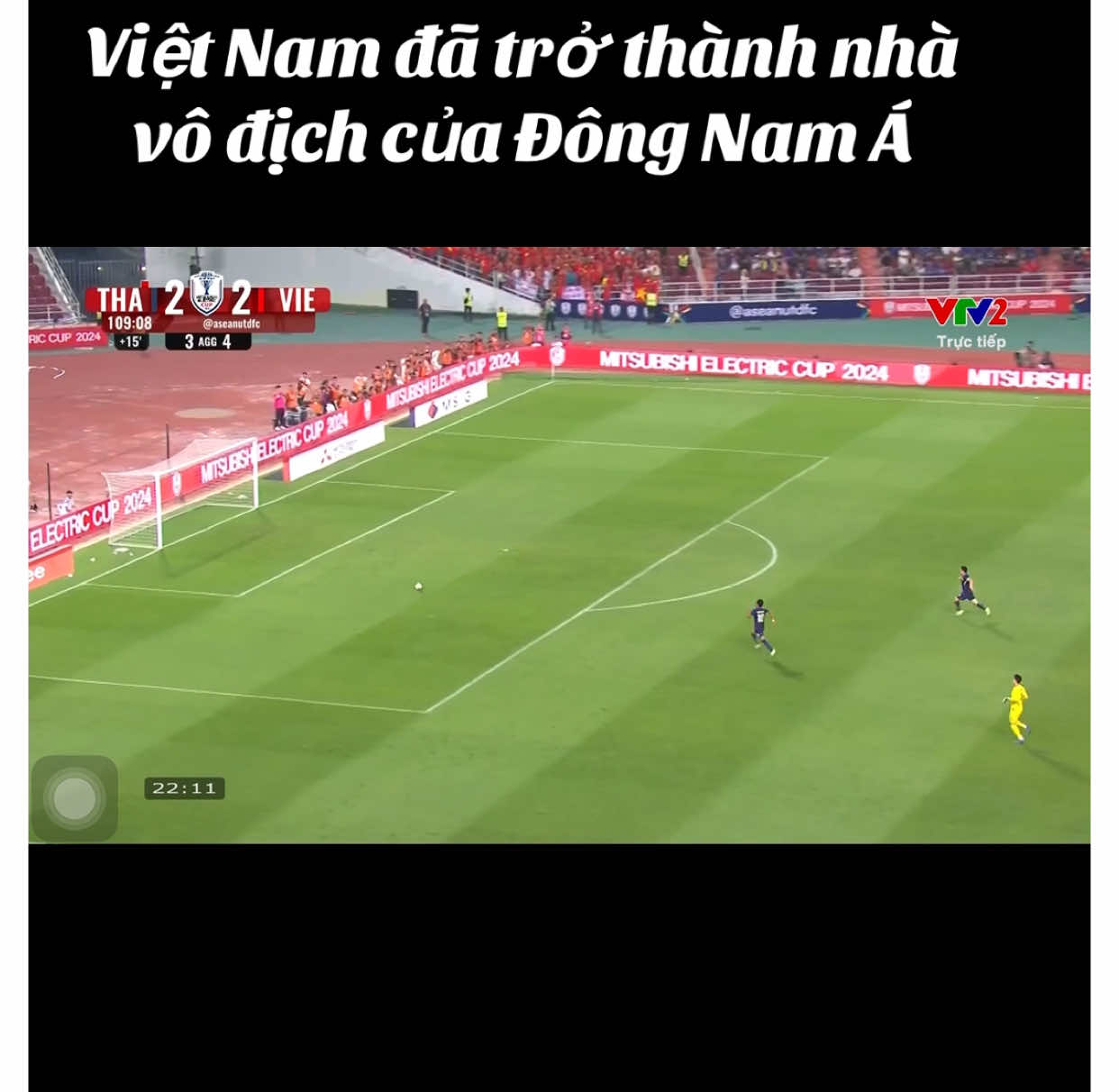 Việt Nam vô địch #vietnamchienthang  #toiyeuvietnam 