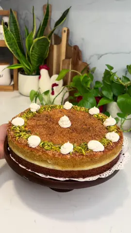 بسبوسة بالقشطة وجوز الهند رهيييبة راح تدمنوها 😋 للشيرة  1 كوب سكر  نص كوب مي  ذرات ليمون دوزي  للبسبوسة  2 بيض  فانيلا ثلاثة ارباع كوب سكر  ثلاثة ارباع كوب زيت  ثلاثة ارباع كوب مبروش جوز الهند 1 وربع كوب سميد  1 كوب قشطة او زبادي ملعقة اكل بيكن باودر  للقشطة  2 كوب حليب سائل  4 ملاعق اكل نشا  علبة قشطة  و4 قطع جبن مربعات او مثلثات الي متوفر  Basbousa with Cream and Coconut For the Syrup 	•	1 cup sugar 	•	½ cup water 	•	A few drops of lemon juice For the Basbousa 	•	2 eggs 	•	Vanilla 	•	¾ cup sugar 	•	¾ cup oil 	•	¾ cup shredded coconut 	•	1 ¼ cup semolina 	•	1 cup cream or yogurt 	•	1 tablespoon baking powder For the Cream Filling 	•	2 cups liquid milk 	•	4 tablespoons cornstarch 	•	1 can of cream 	•	4 pieces of processed cheese (square or triangular, whichever is available) #بسبوسه  #حلويات #اكسبلور #explore #explorepage✨ 