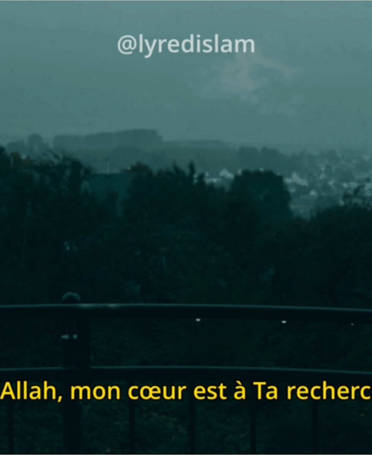 Mon cœur est à Ta recherche 🤍🤲🏻 Découvre ce poème et tous les autres sur toutes les plateformes d’écoute 🎧 #allah #poème #islam #rappel #rappels_islam #musulman #musulmane #fyp #rappels_islam 