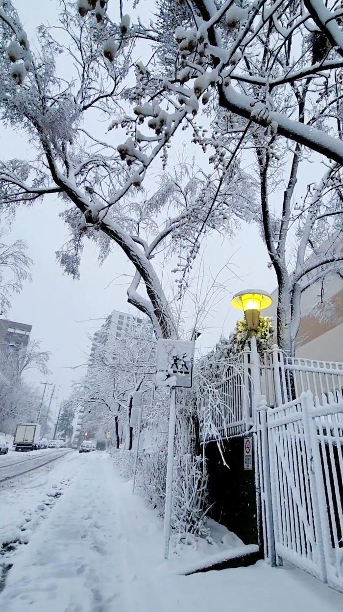 🇨🇦montreal today first snow 2025 in montreal ❄️première neige 2025 a Montréal 🔷️primera nieve de 2025 a montreal #canada🇨🇦 #landscape #explore #explorethecity #exploremontreal #explorecanada #todayinmontreal #winter2024 #city #travel #visitmontreal #onlyinmontreal #downtownmontreal #aroundtheworld #exploreworld #voyages #villedemontreal #hiver2025  #beautiful #scenery #winter2025 #visitandolugares #alrededordelmundo #2025 #canadanature  #todayinmontreal #beautifulview #thisiscanada #canadatoday #canadavibes #canadalife 