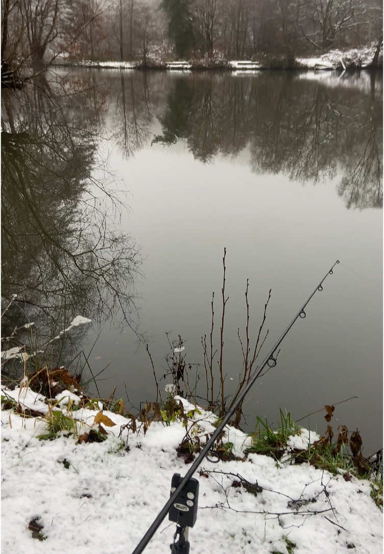 Nothing went right today😅 but at least i didnt blank! I nearly did though! last minute catch! Also broke my trousers and not happy. They dont make suits this quality no more😬 also had to lend lewtys alarm!🤦‍♀️ Happy new year btw!🖤 #fishing #fishinglife #carpfishinguk #carpfishinglife #fyp #foryoupagе #explore #girlswhofish #winterfishing #icefishing #snow 