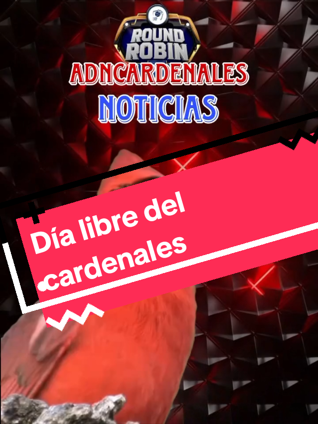 Día libre para el cardenales hoy domingo 5 de enero 2025...  TUKI-TUKI-TUKI Vamos Cardenales  #fanaticoscardenales #abranpasoquevieneelcaedenales #creatorsearchinsights #lara #lvbp #barquisimeto #adncardenales #parati 