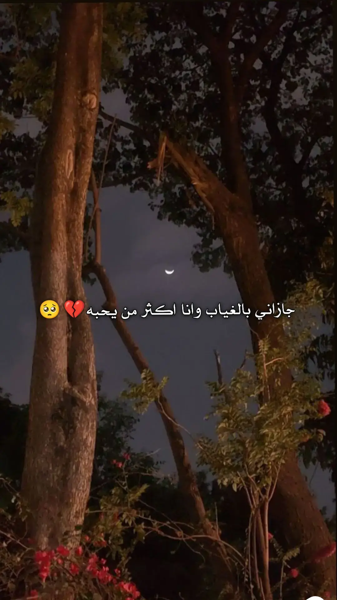 #ناوي_قليبك_هجر_قليبي_ناوي #يسعدلي__اوقاتڪۘم #اخر_عبارة_نسختها🥺💔🥀 #مجرد________ذووووووق🎶🎵💞 #طلعو_اكسبلور❤❤ #تصميم_فيديوهات🎶🎤🎬 #تصاميم_فيديوهات🎵🎤🎬 #تصميمي🎬 #محضوره_من_الاكسبلور_والمشاهدات  @˼♯̶ٱلغرَيبۿۃ 