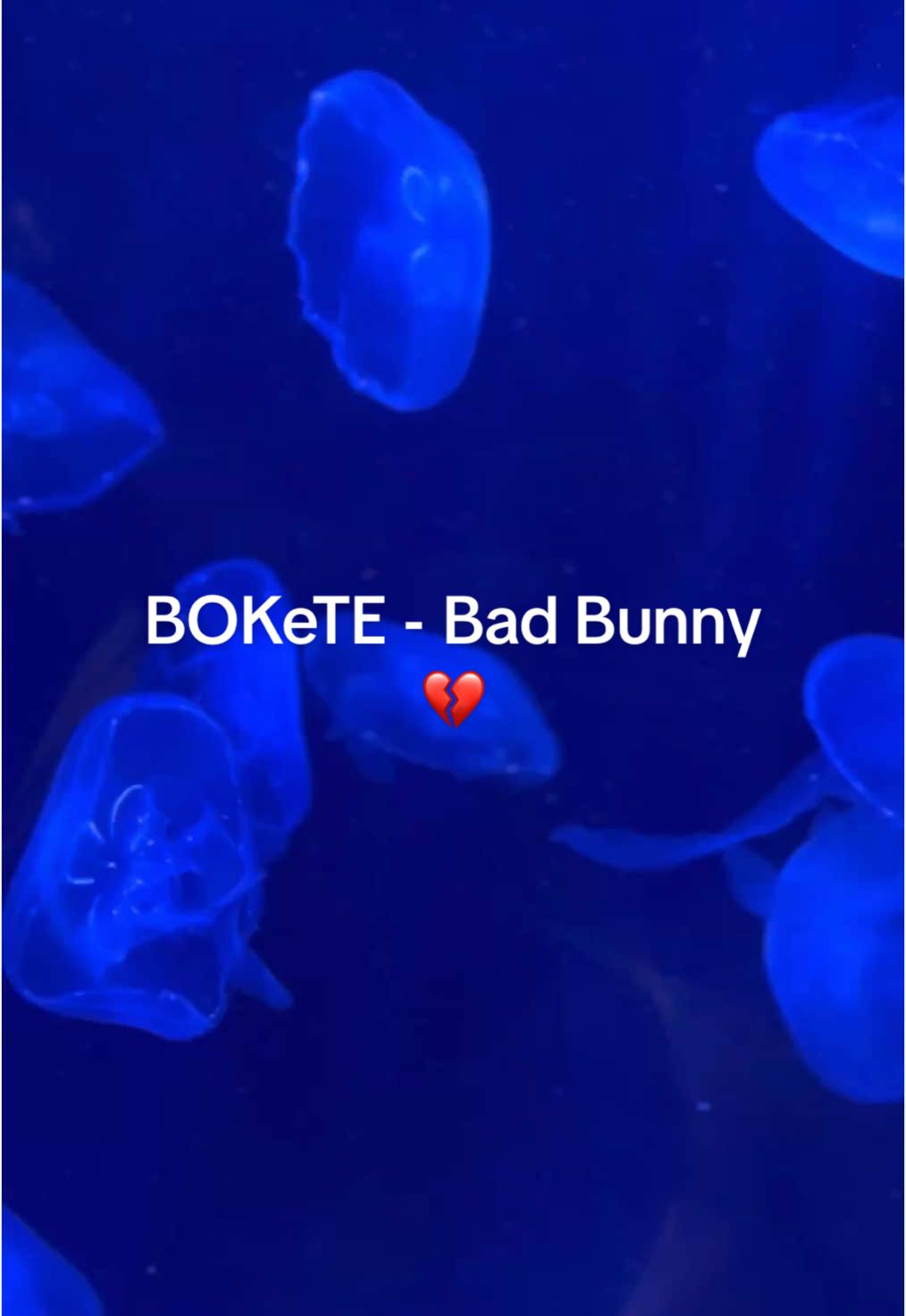 BOKeTE - Bad Bunny 💔 #badbunny #dtmf #nuevodisco #debitirarmasfotos #bokete 