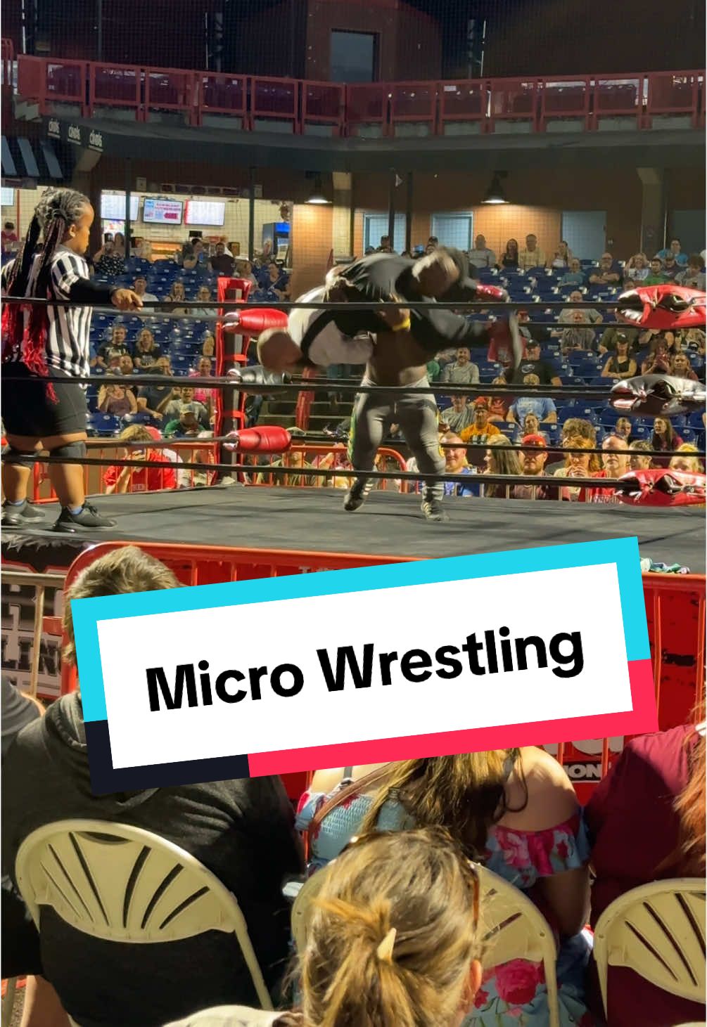 Baseball stadiums, hockey arenas, race tracks, amphitheaters, concert halls, convention centers; Micro Wrestling is gonna be EVERYWHERE in 2025. #microwrestling #prowrestlingtiktok #fortheboys 