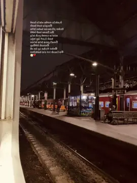 මන් තවදුර තනියම යන්නම්... 😶‍🌫️💔 #colombo #colombofortrailway #railwaystation #tiktok #viral #මන්_තව_දුර_තනියම_යන්නම්🚶‍♂️ 