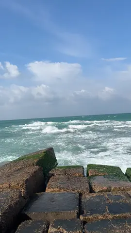 #egypt🇪🇬 #اكسبلور #fypシ゚ #sea #بحر #alexandriaegypt🇪🇬 #شتاء #يناير٢٠٢٥ #winter #الاسكندرية #عمرو_دياب #عمرو_دياب_مقدرتش_انساك_والليالي#sea @Amr Diab 
