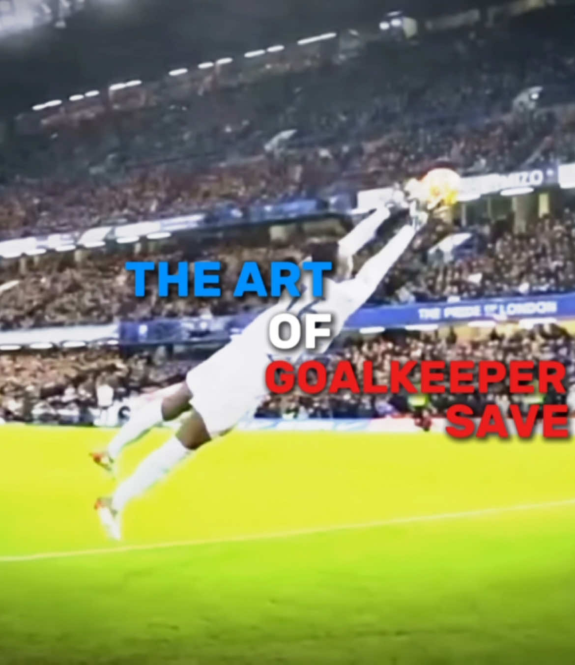 The art of Goalkeeper Save 🧤 #foot #footballtiktok #goalkeeper 