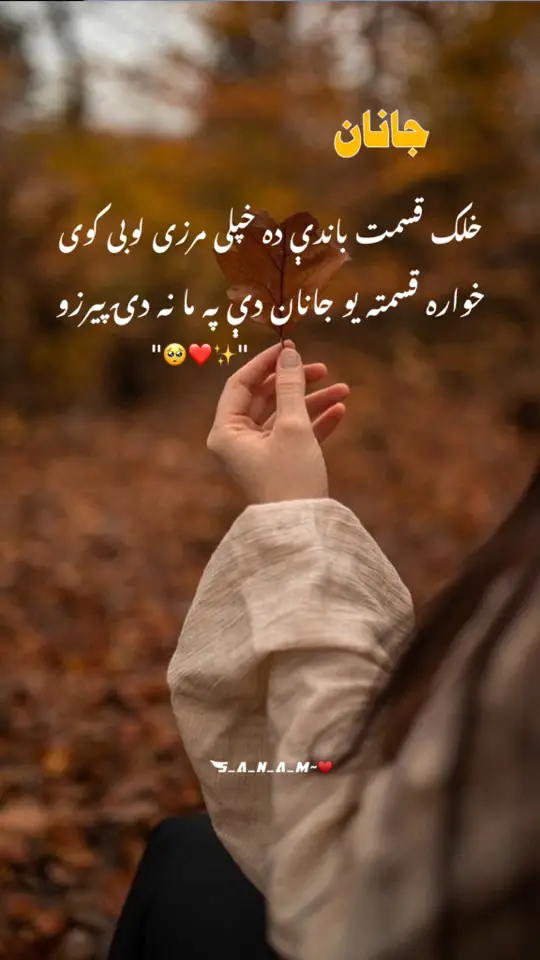 #fypviralシ #💔🥺🥀 #100kviews #foryoupage❤️❤️ #pashtopoetry #pashtolines #foryoupageofficial 