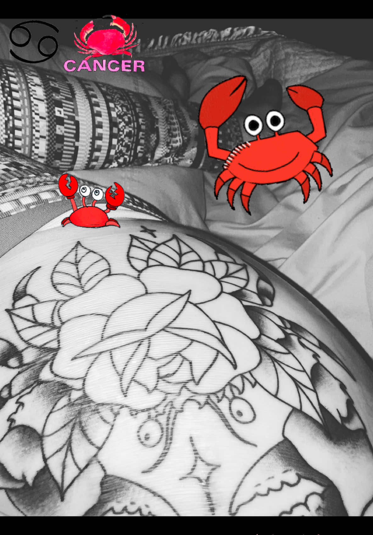 🦀😝🥰🥰🥰🩷🥰🩷🥰🩷🥰🩷🥰 Cancer ♋️ 🦀🥰🦀🩷🦀