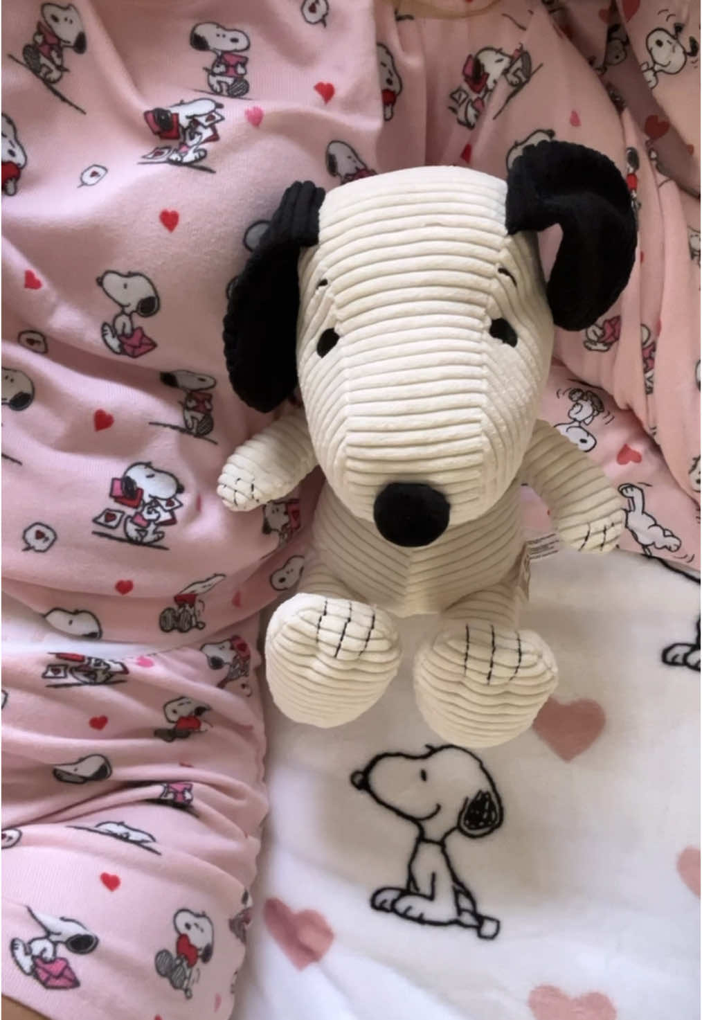 Valentines Day Snoopy sheets has to be my favorite! It’s the perfect shade of pink!🩷 @HomeGoods @American Eagle  #snoopy #plushie #americaneagle #ValentinesDay #peanutsgang #americaneagle #homegoodsfinds #homegoods #bedding #sundayreset #snoopydog #snoopylover 